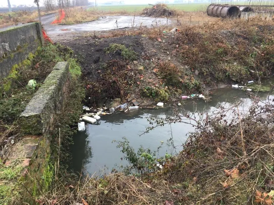 Plastica e rifiuti: acque inquinate al Parco dei fontanili di Torbole Casaglia