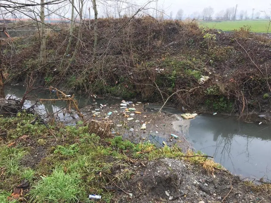 Plastica e rifiuti: acque inquinate al Parco dei fontanili di Torbole Casaglia