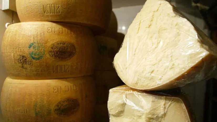 Forme di Parmigiano Reggiano