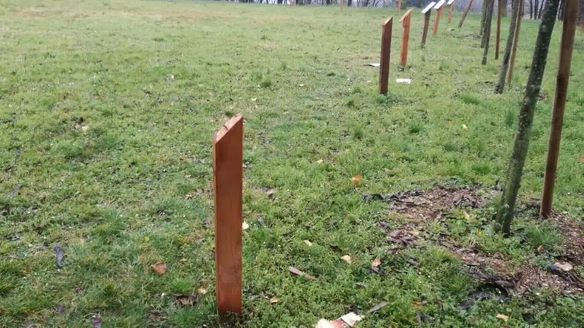 Vandali al Giardino dei Giusti