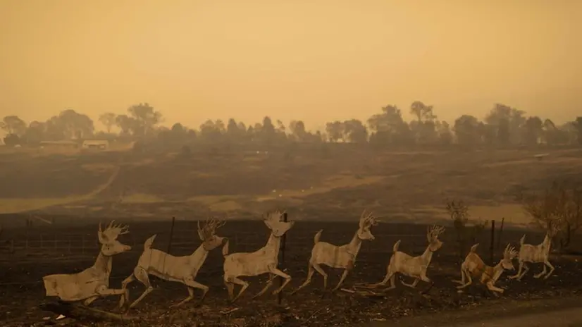 La devastazione delle fiamme ha lasciato dietro di sé solo cenere