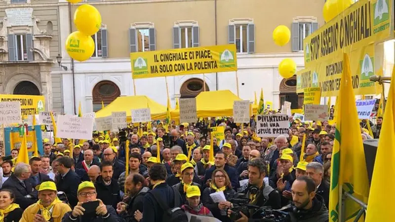 La manifestazione di Coldiretti a Roma - Foto dalla pagina Facebook di Coldiretti