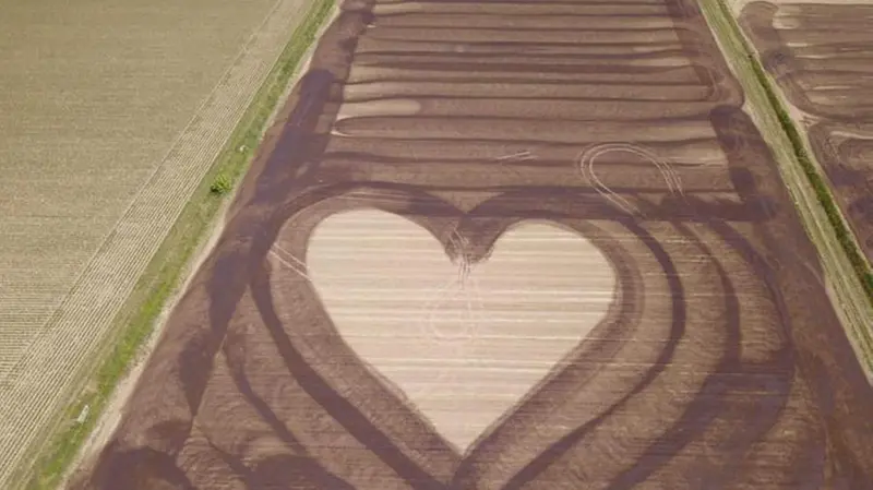 Il cuore disegnato nei campi a Manerbio