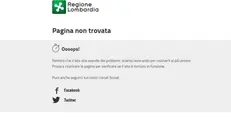 Ecco come appare la pagina web del sito di Regione Lombardia riservata al bando del Pacchetto Famiglia - © www.giornaledibrescia.it