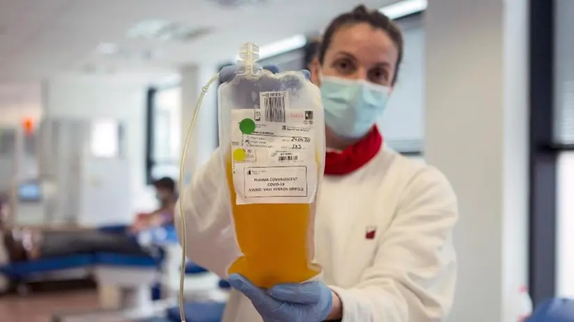 Il plasma dei convalescenti e dei guariti pare essere molto prezioso - Foto Epa/Enric Fontcuberta