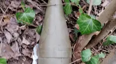 La granata trovata  nel bosco a Montichiari - Foto © www.giornaledibrescia.it