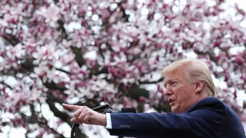 Trump durante l'annuncio -  Foto © www.giornaledibrescia.it