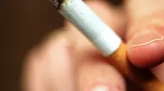 Dall'introduzione della Legge Sirchia i fumatori sono diminuiti - Foto Ansa © www.giornaledibrescia.it