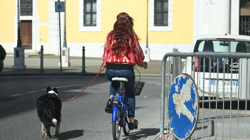 In bici per portare a spasso il cane - Foto Gabriele Strada /Neg © www.giornaledibrescia.it