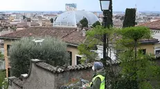 A Brescia, controlli con il drone - Foto Gabriele Strada /Neg © www.giornaledibrescia.it