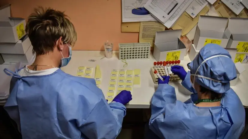 Coronavirus, esami in corso in un laboratorio di microbiologia - Foto Ansa © www.giornaledibrescia.it