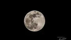 La Superluna della notte tra il 7 e l'8 aprile 2020 - Foto Studio Fotografico Sbardolini // Iseo