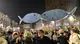 In piazza Vittoria le Sardine bresciane