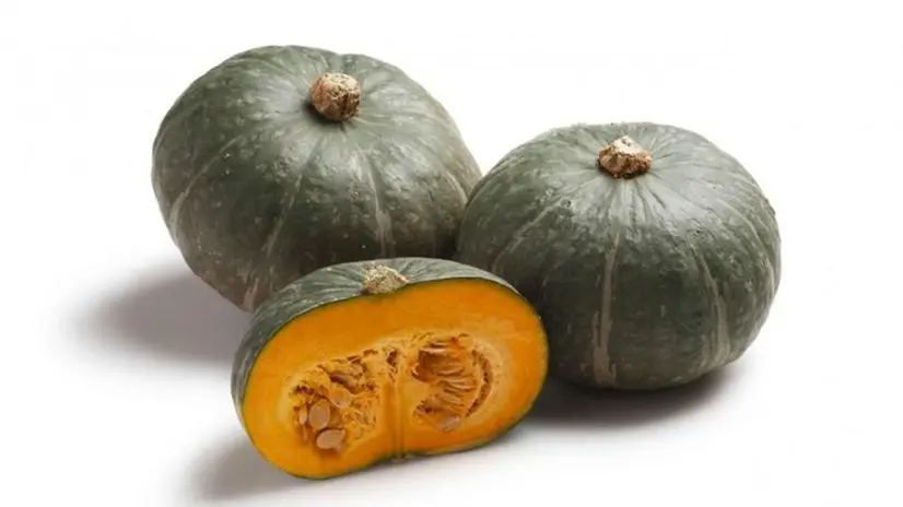 Una zucca di qualità Delica