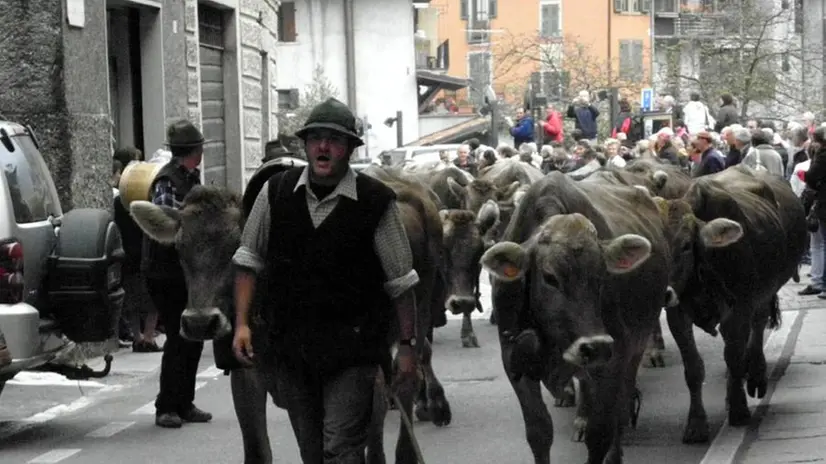 Una delle passate edizioni della festa della transumanza a Bagolino - Foto © www.giornaledibrescia.it