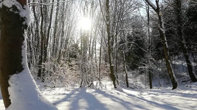 La magia della Maddalena coperta di neve