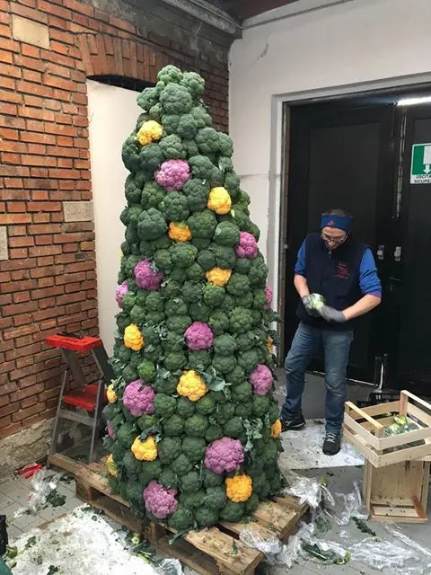 L'originale albero di Natale di Francesco