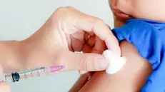 La vaccinazione di un bambino - Foto © www.giornaledibrescia.it