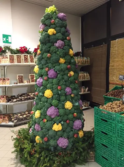 L'originale albero di Natale di Francesco