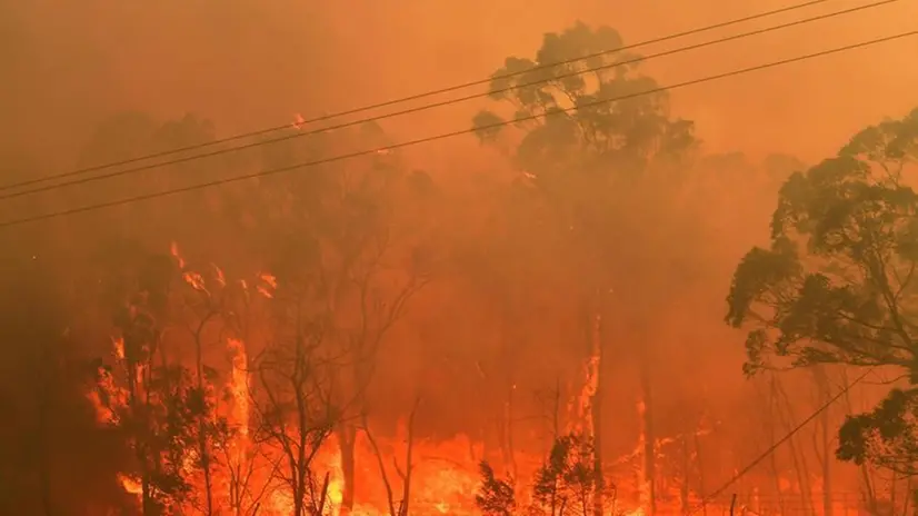 Gli incendi in Australia