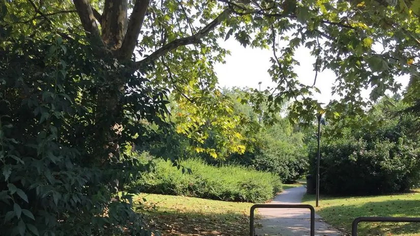 L’ingresso del parco Gallo