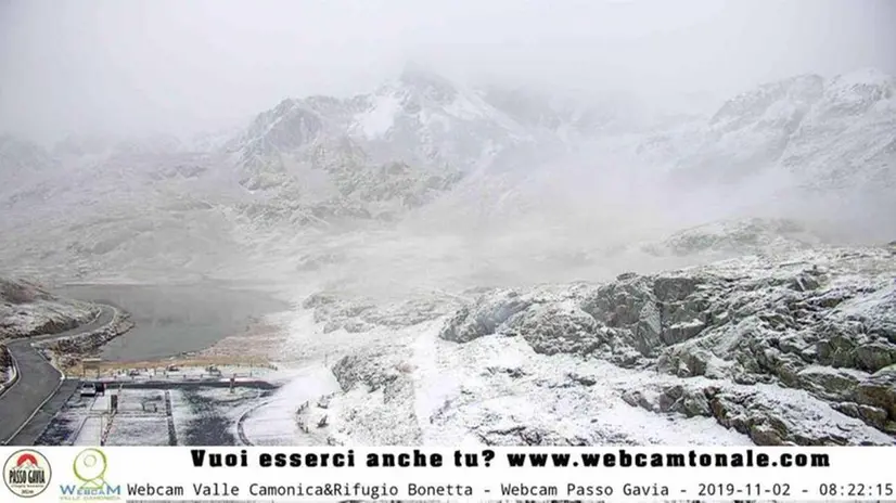 Neve sul Gavia