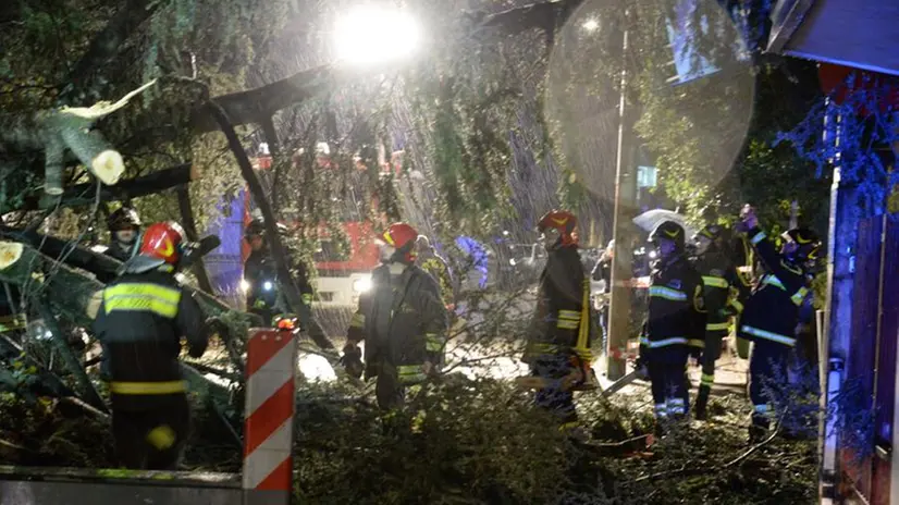 Via D'Azeglio, alberi caduti e danni del maltempo