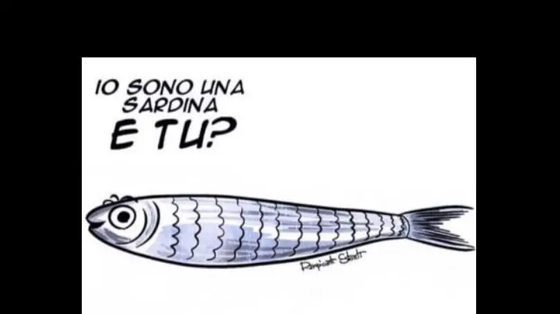 L'immagine di copertina della pagina Facebook del gruppo Sardine Brescia