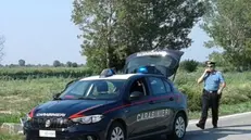 I carabinieri hanno denunciato i due fratelli. © www.giornaledibrescia.it