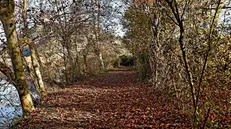 Le Torbiere in autunno