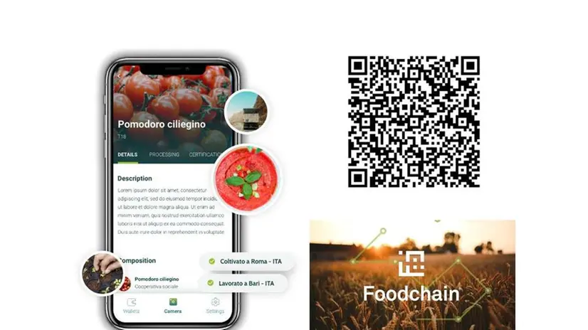 Un esempio di tracciamento della filiera produttiva tramite blockchain consultabile via smartphone - © www.giornaledibrescia.it