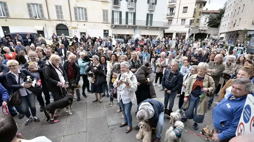 La benedizione degli animali/1