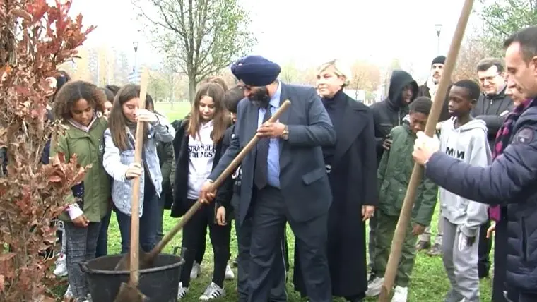 Querce dell'India donate a Brescia e piantumate in via Lonati