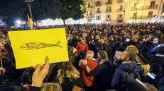 Manifestanti del movimento delle Sardine in piazza a Palermo - Foto Igor Petyx/Ansa © www.giornaledibrescia.it