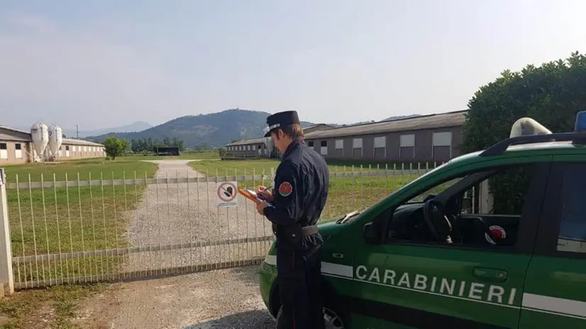 Un carabiniere forestale - Foto © www.giornaledibrescia.it