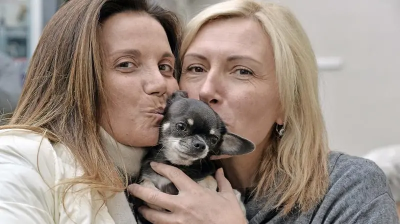 La benedizione degli animali/2