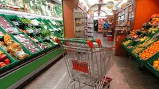 Da riempire. Domani alle Coop il carrello diventa solidale