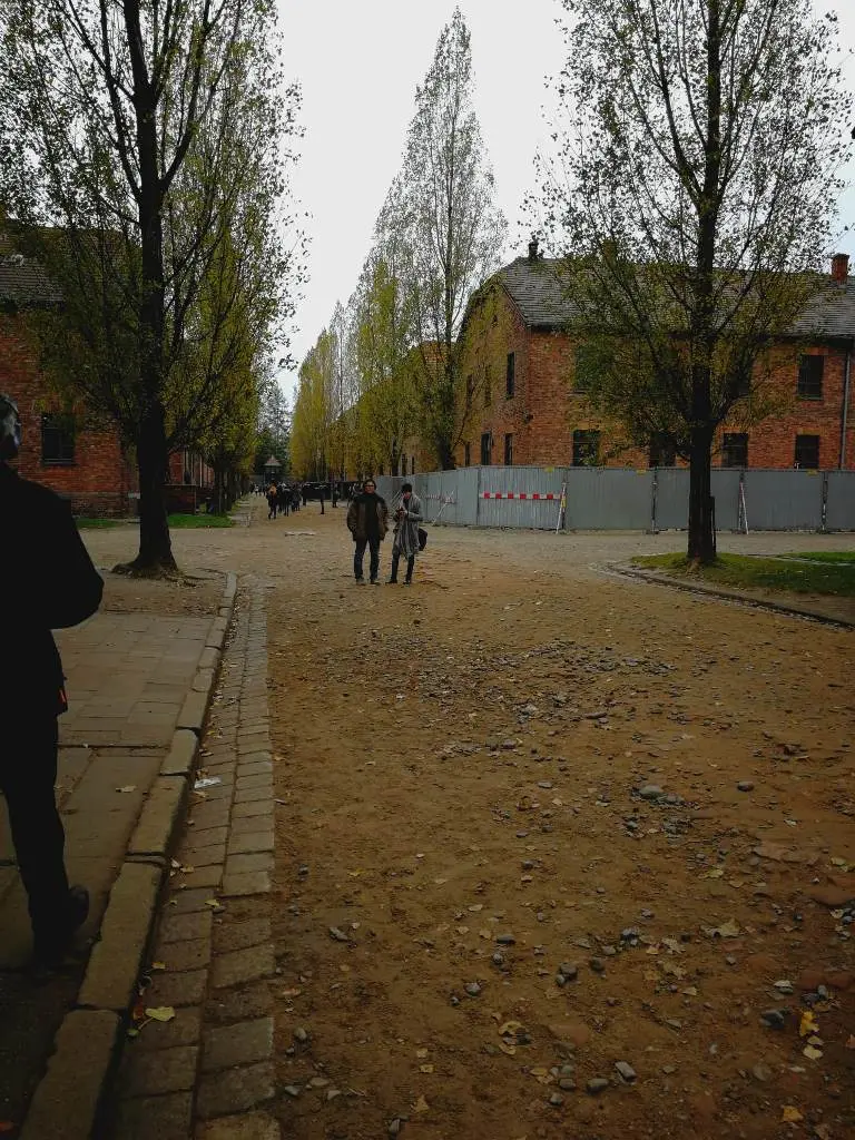 Gli studenti bresciani visitano Auschwitz/3