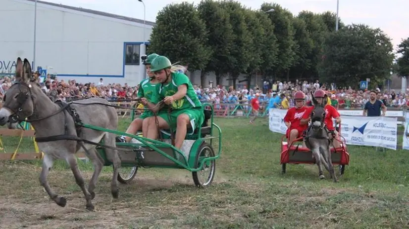 In gara. Uno scatto degli asini e dei fantini durante la competizione dello scorso anno - © www.giornaledibrescia.it