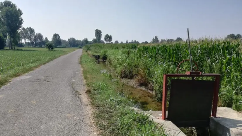 Sversamento nella roggia, indagini in corso a Gambara