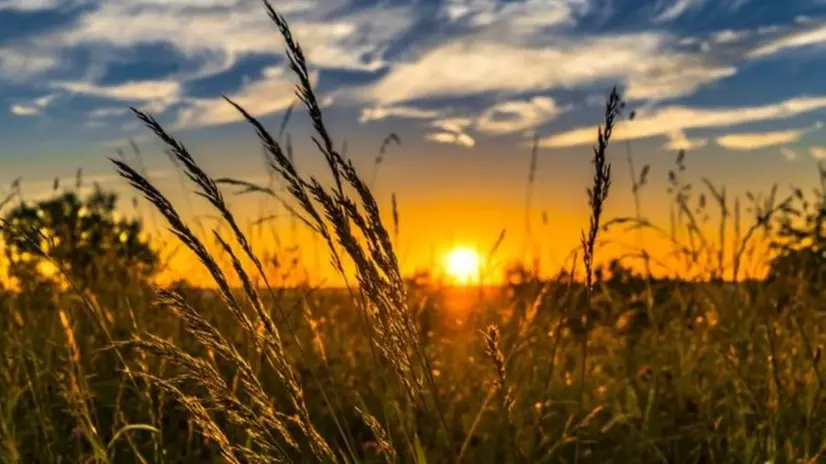 Da domani è allerta caldo e afa