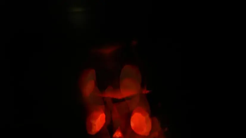 Zucche di Halloween © www.giornaledibrescia.it