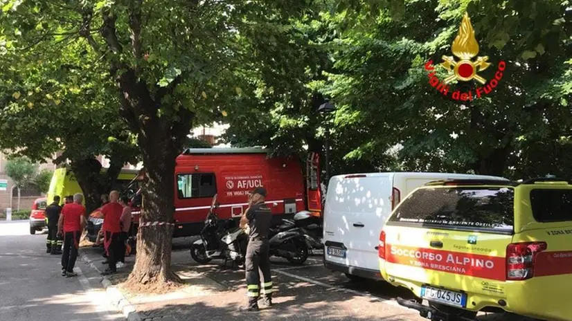 Imponente dispiegamento di forze per ritrovare il ragazzo disperso