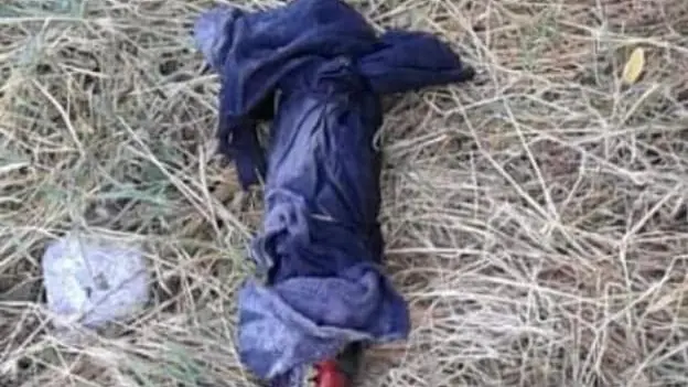 Innesco trovato nel Parco dell'Oglio