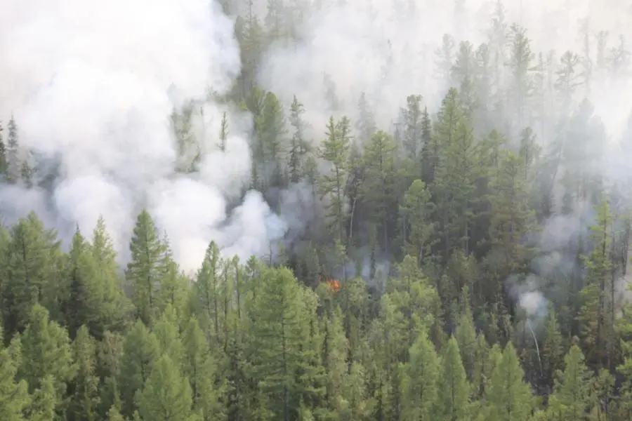 Le immagini degli incendi in corso in Siberia
