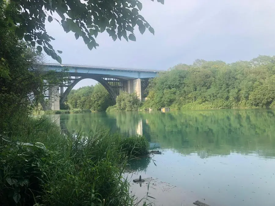 Poliziotto si tuffa per salvare un uomo caduto nel fiume