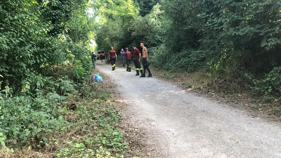 Poliziotto si tuffa per salvare un uomo caduto nel fiume