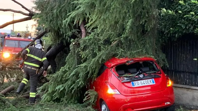 Alberi abbattuti sulle auto a Sant'Eufemia