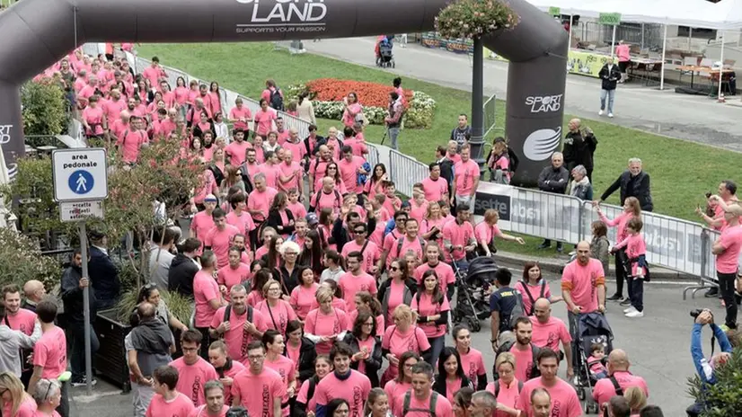 ZEBRA RUN 2019