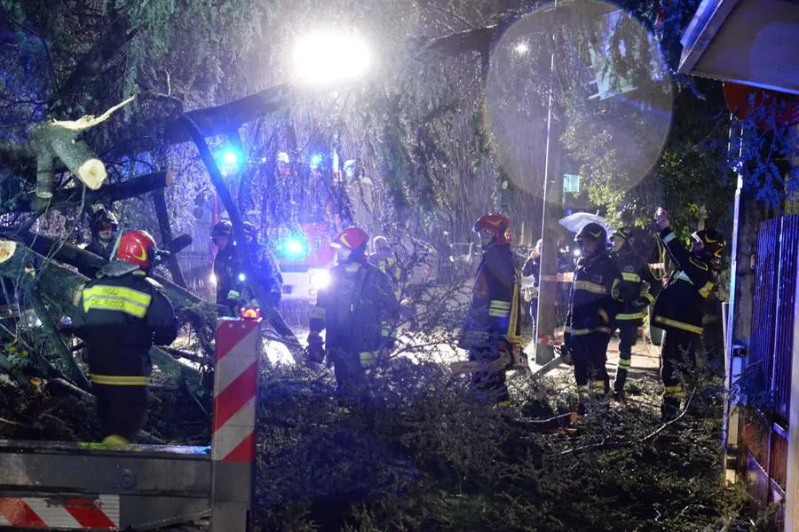 Via D'Azeglio, alberi caduti e danni del maltempo